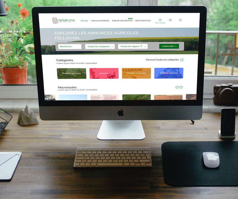 agence web